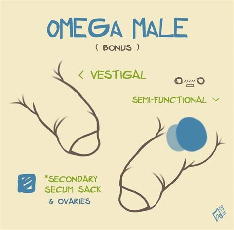 male omega|can male omegas get pregnant.